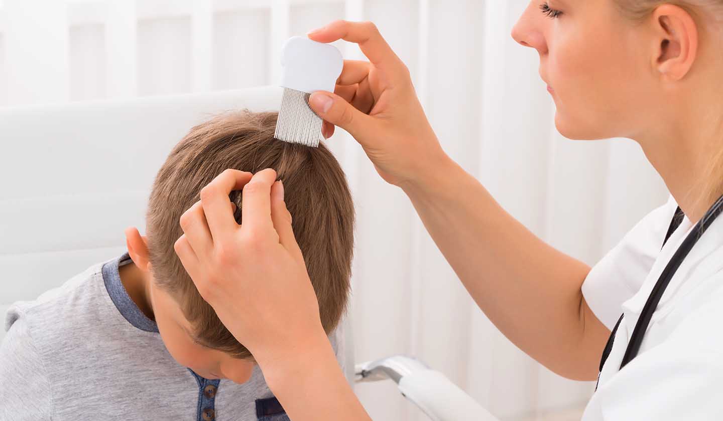 Comb the hair using a fine lice comb