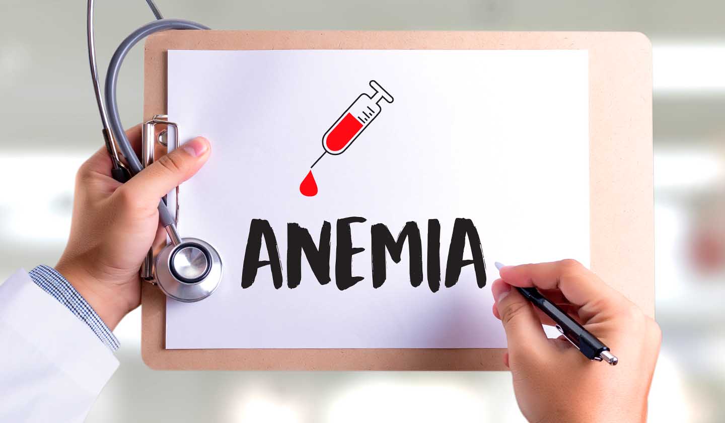 Anemia Ferropénica causas
