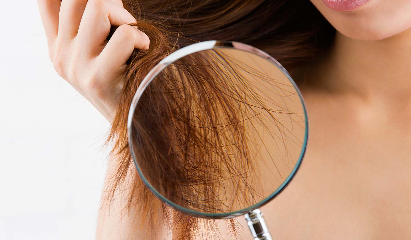Hair that is heavily exposed to the sun becomes rougher and duller.