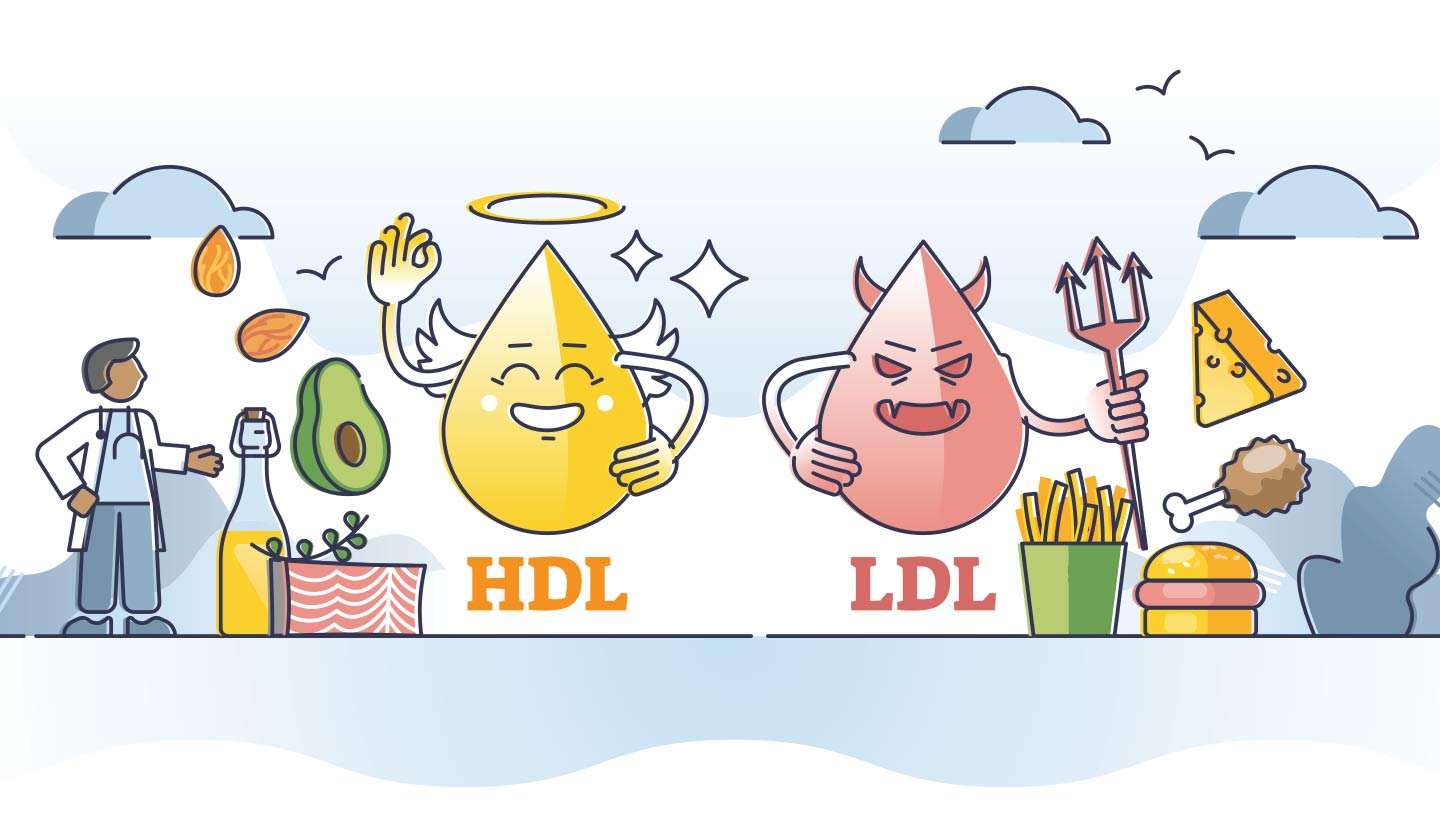 Diferentes tipos de colesterol - HDL e LDL