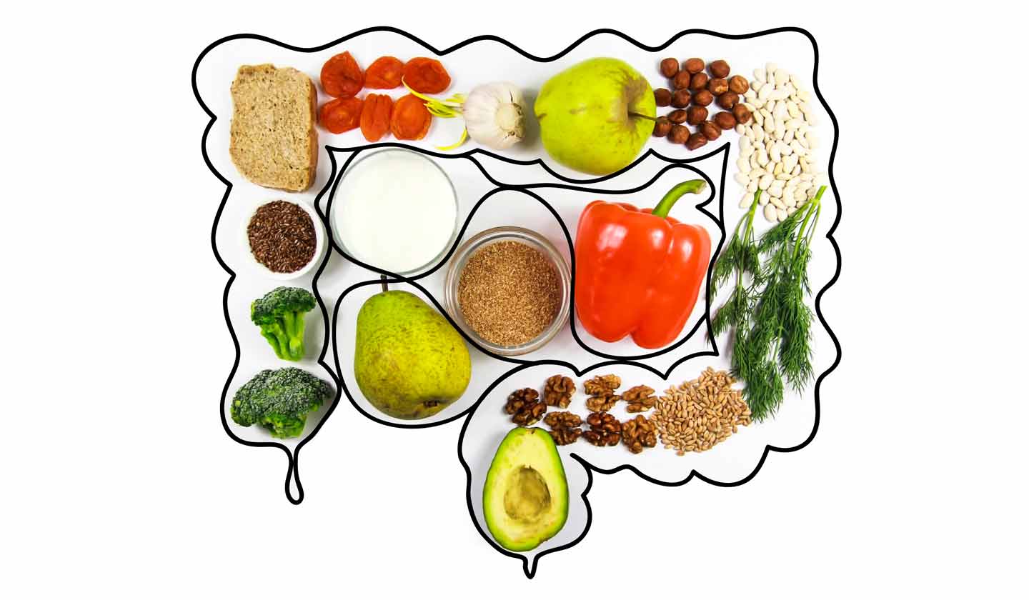 Alimentos saudáveis para o intestino