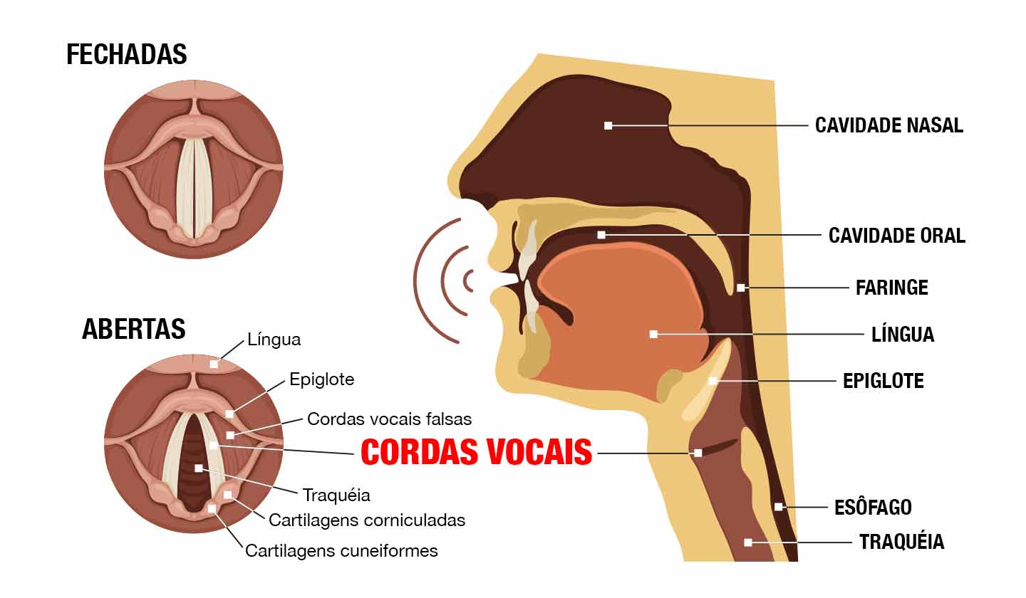 Rouquidão e Afonia cordas vocais