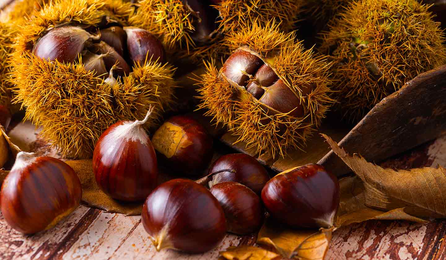 Chestnuts healthy deals