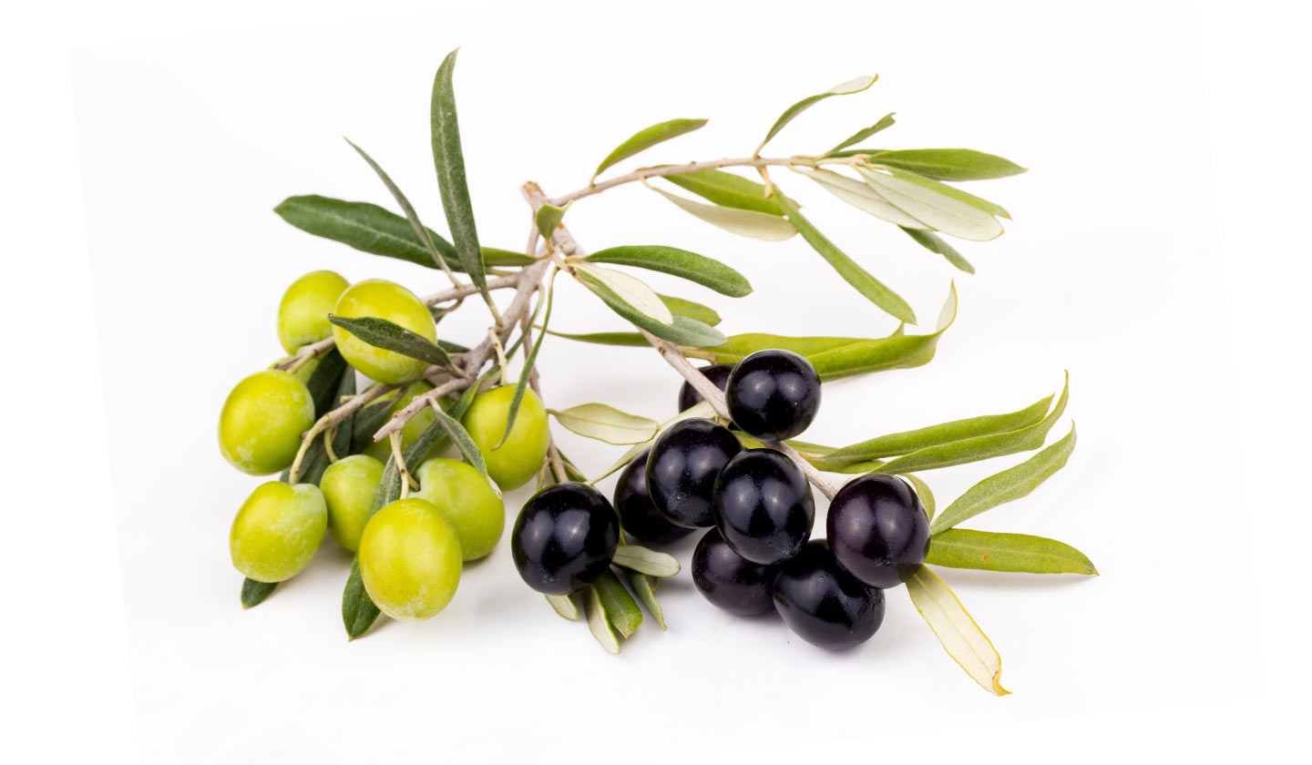 Nutritional composition of olives