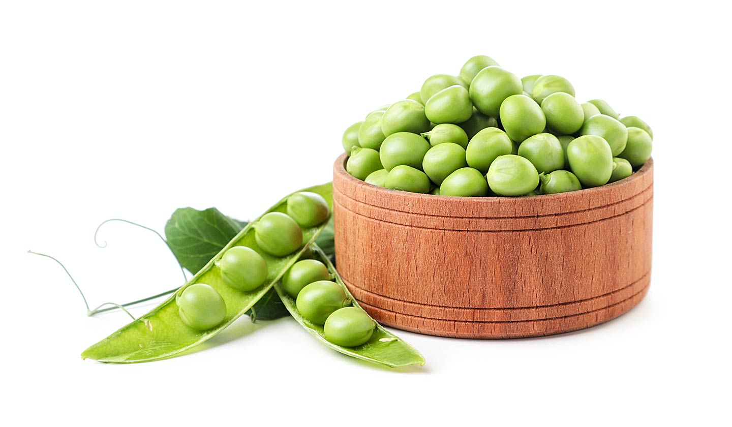 Pea - a source of vegetable protein