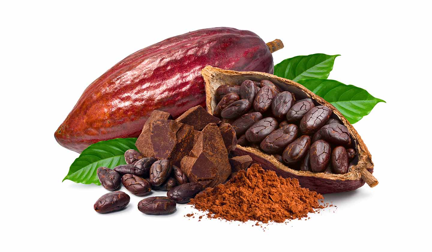 Chocolate is derived from cocoa beans