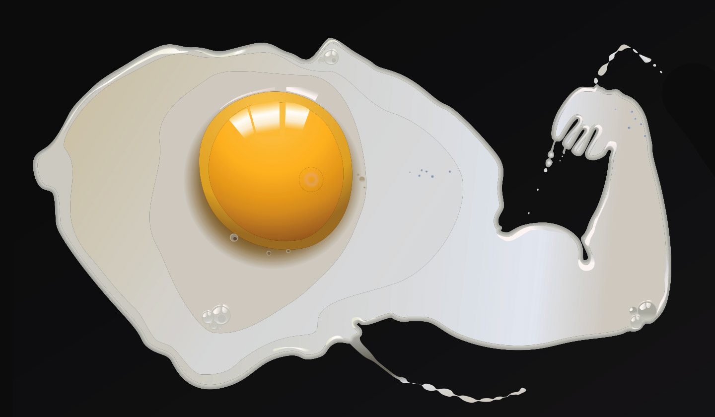 Egg - a source of high quality protein