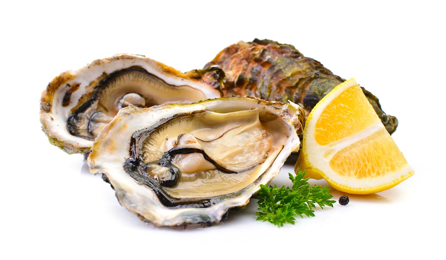 Oysters - rich in high quality protein