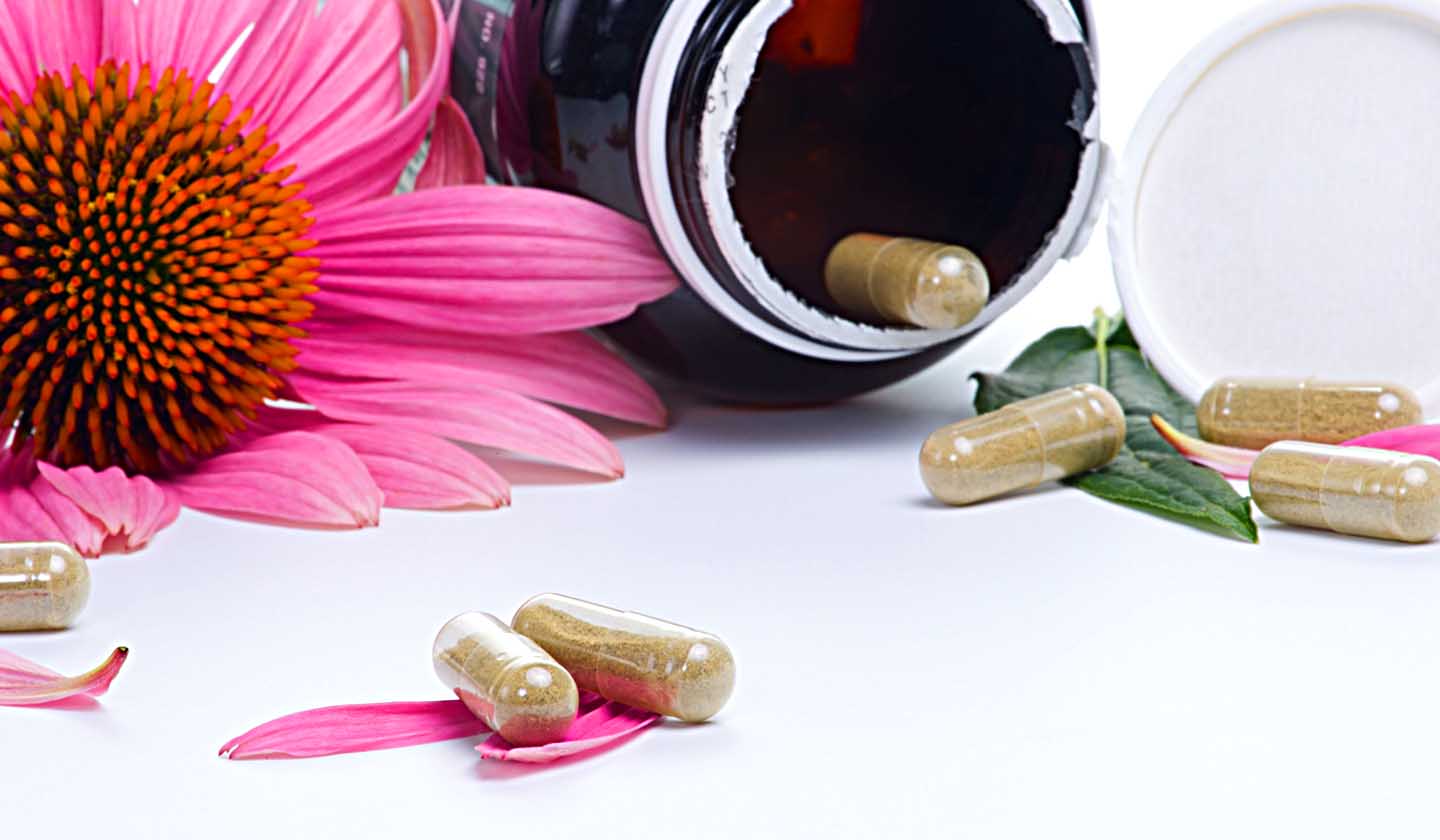 Food supplement of echinacea