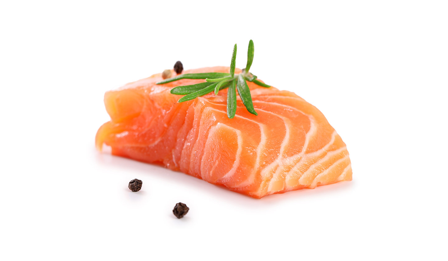 salmon