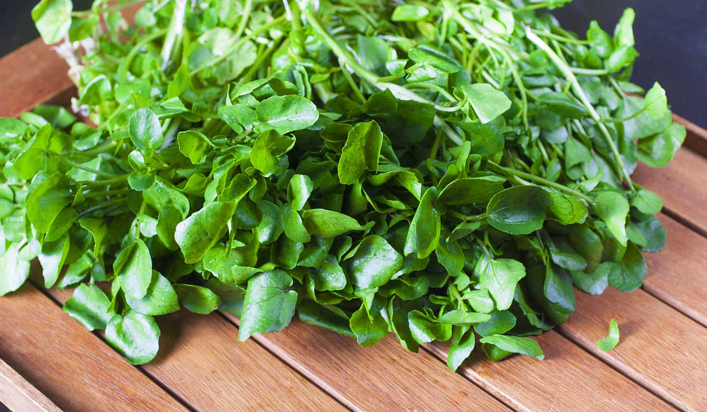 Watercress, calcium source